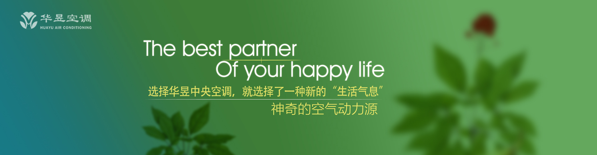 发策决科网